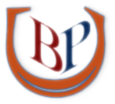 Logo von CBP Ausbau GmbH